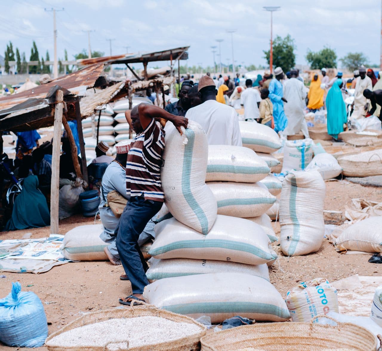 Rice distributor stocking ORAB rice in a warehouse in Nigeria