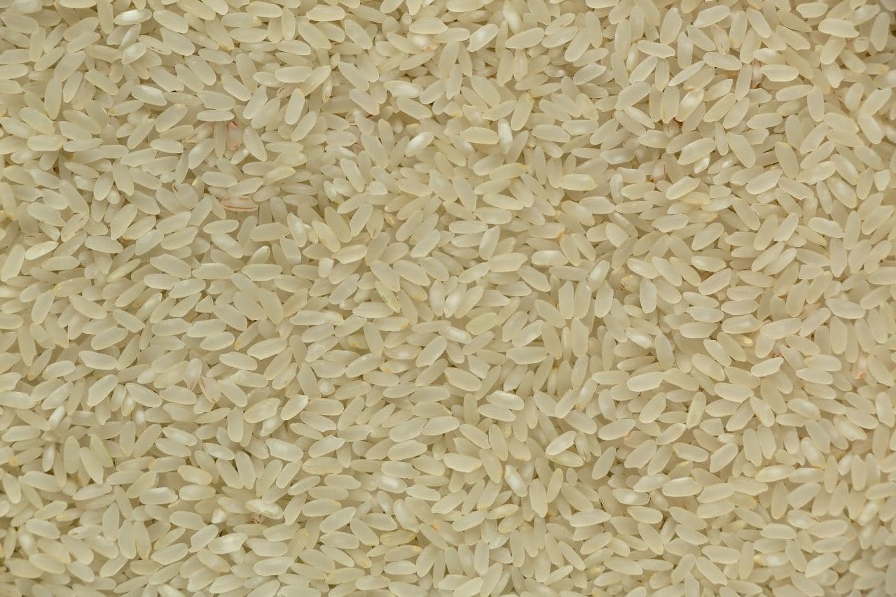 Optical color sorter removing discolored and damaged rice grains