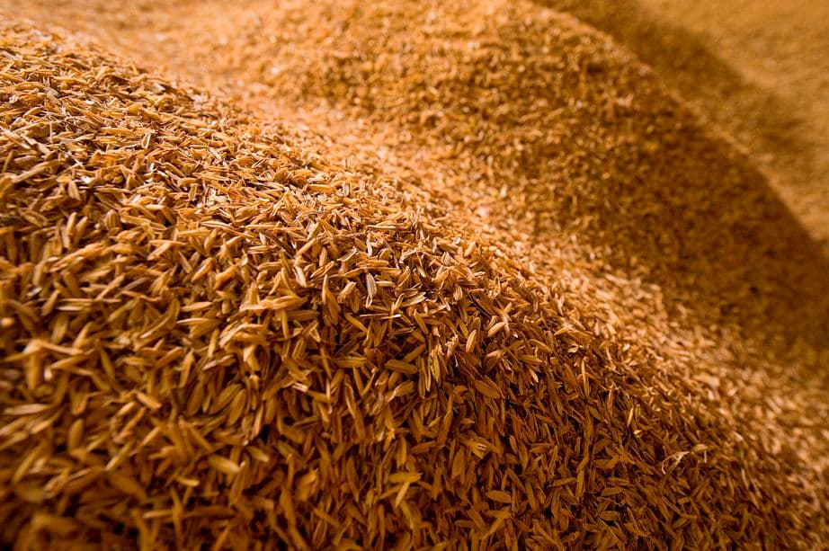 Clean long grain parboiled rice after milling and sorting